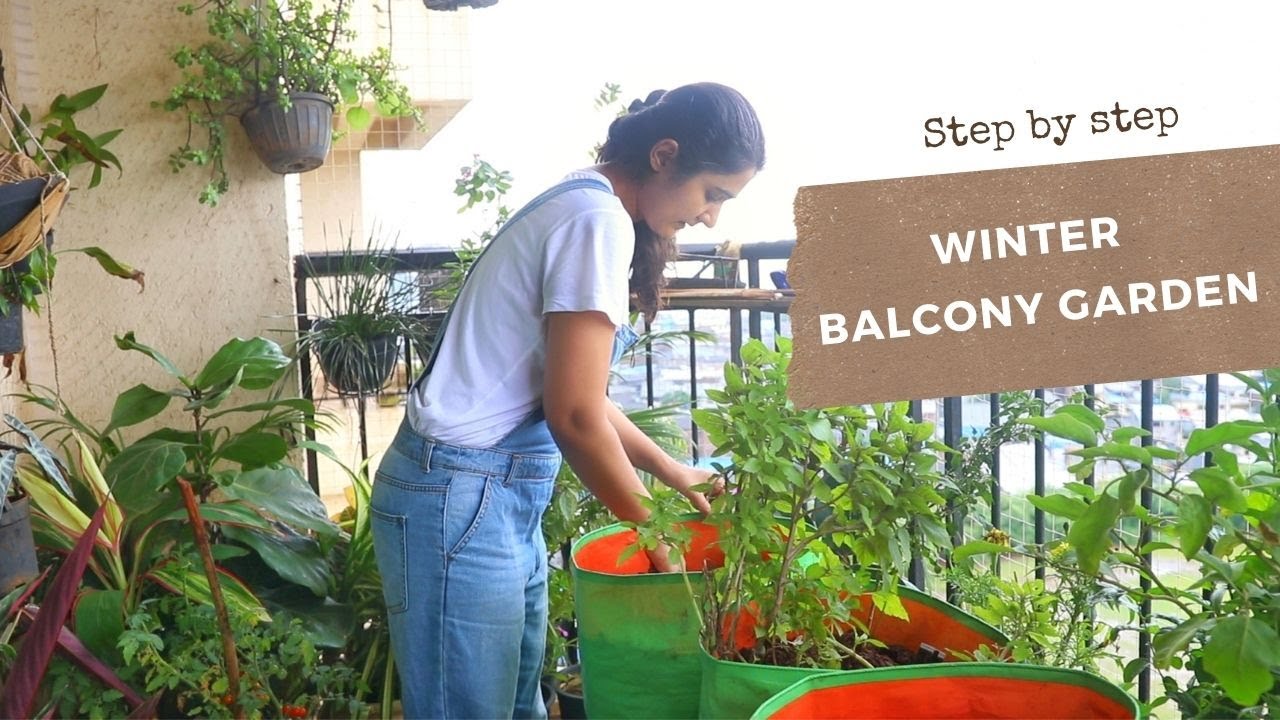 Winter Garden | Growing 14+ vegetables in my 50 sq ft balcony