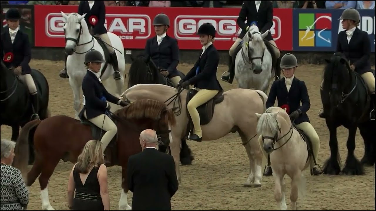 HOYS 2023 Mountain & Moorland Championship Part 2