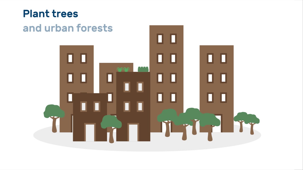 Forests for sustainable cities