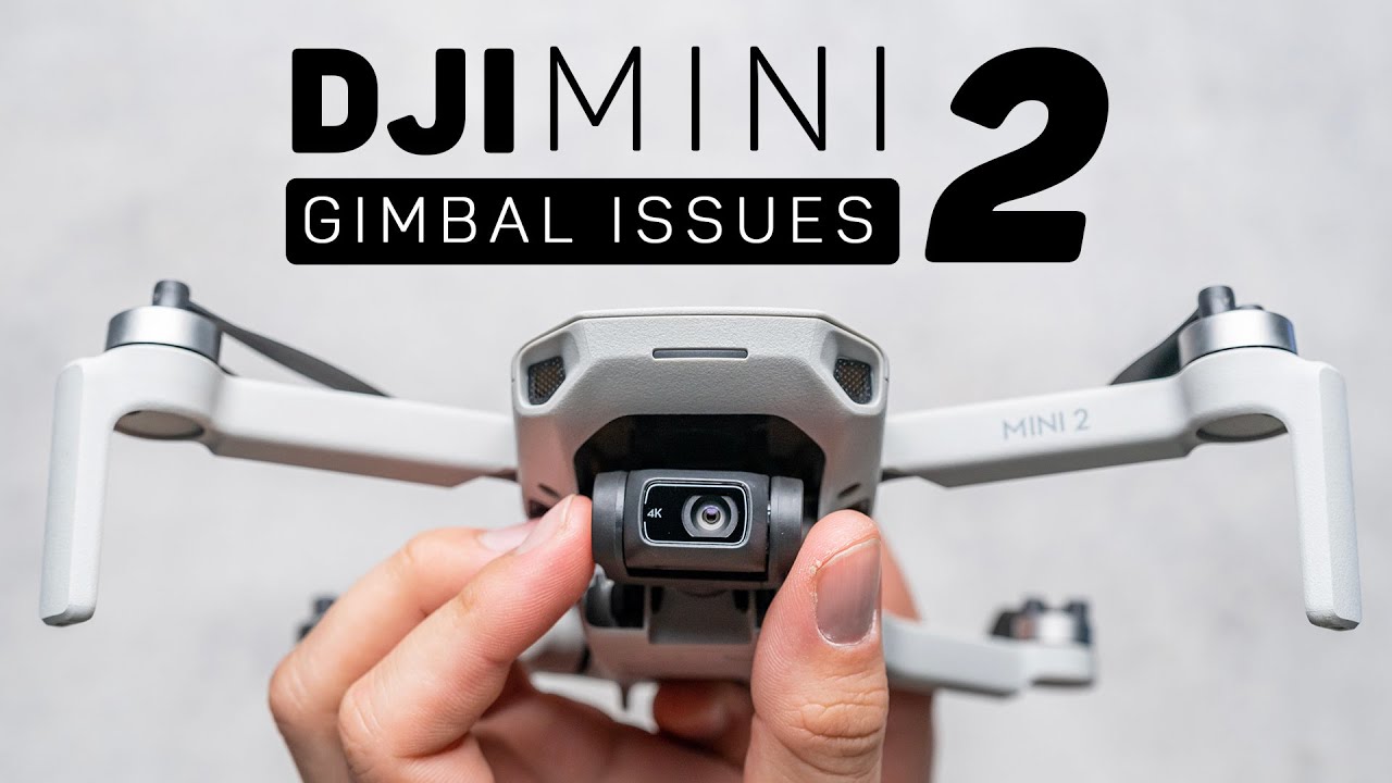 DJI Mini 2 Gimbal Issues Explained
