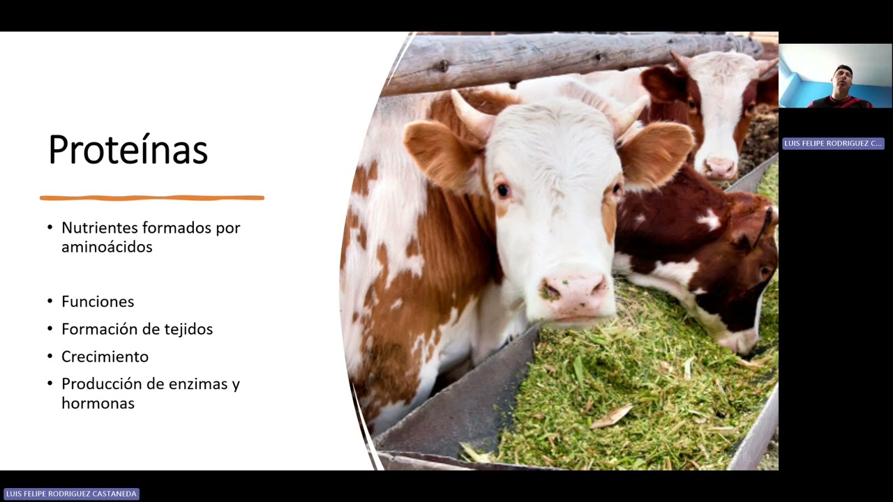Nutrición Animal y Función Metabólica de los Nutrientes 