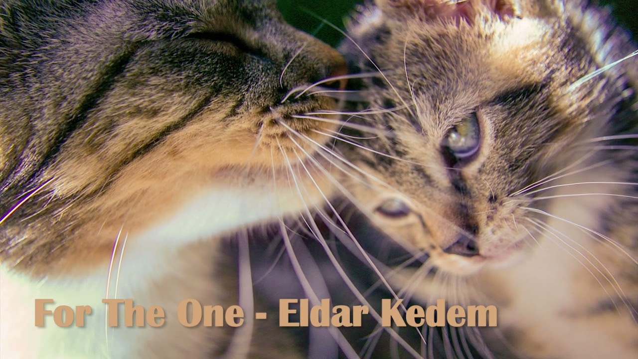 For The One   Eldar Kedem. Acoustic