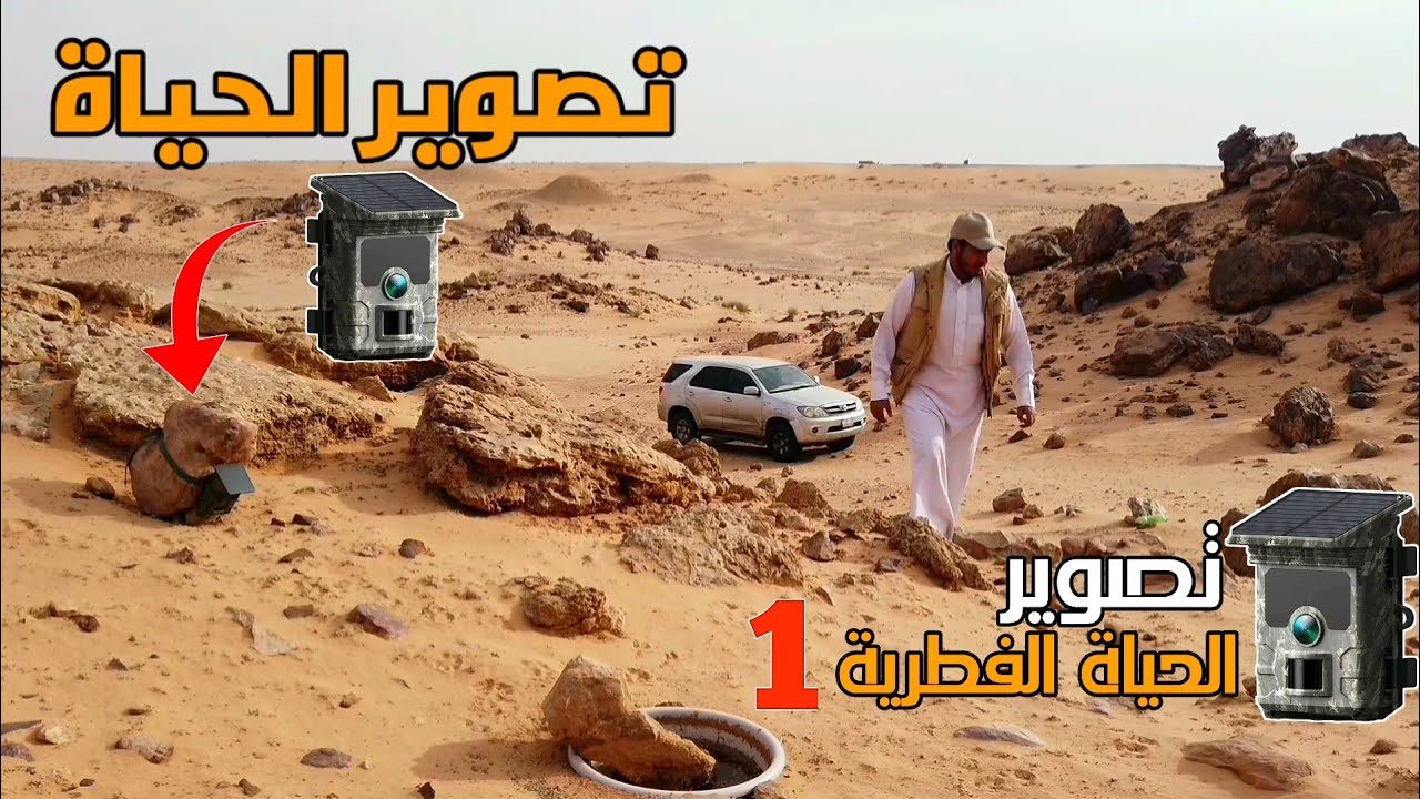 سلسلة تصوير الحياة الفطرية موقع الجبل 