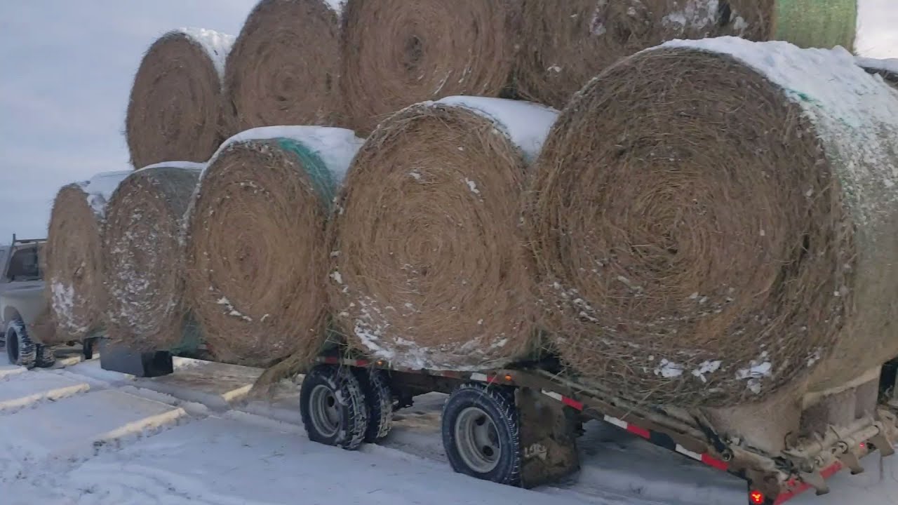 New Load Max Trailer Hauling Hay