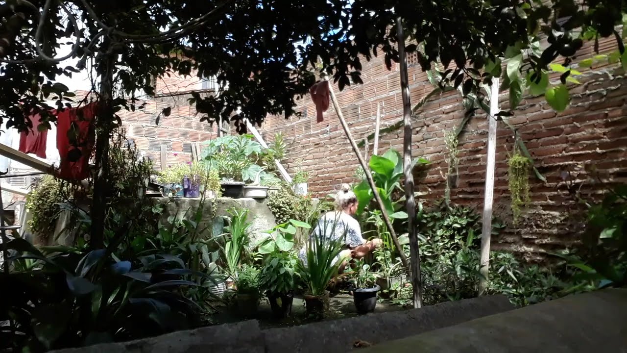 catando algumas folhas 🌱🌼🌹