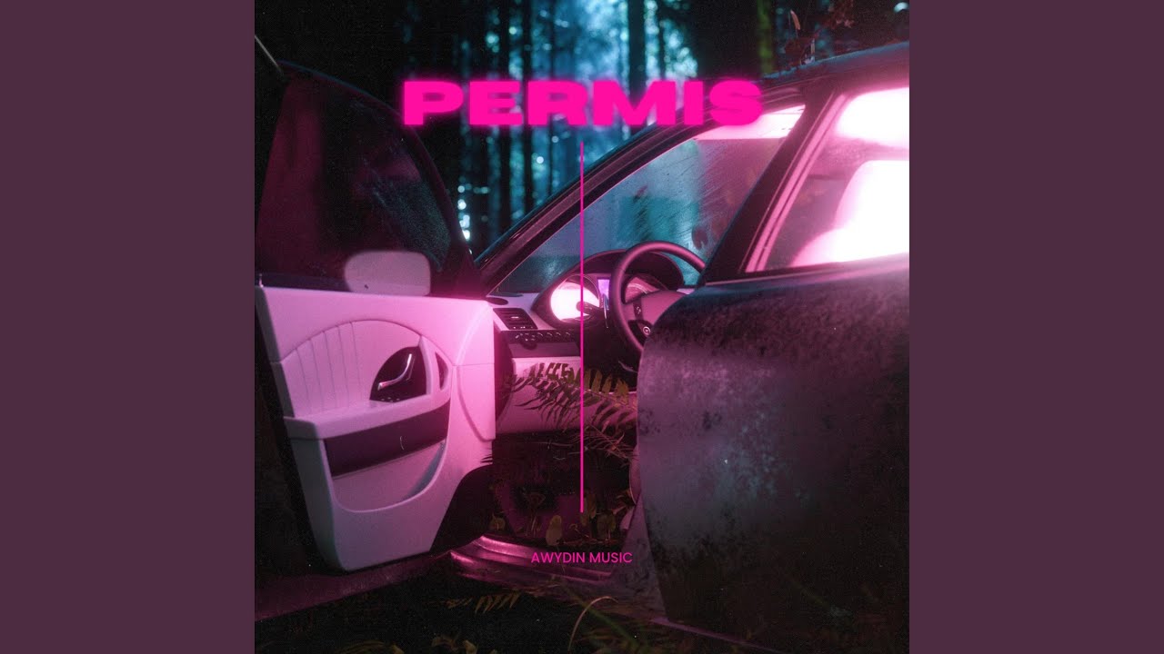 PERMIS