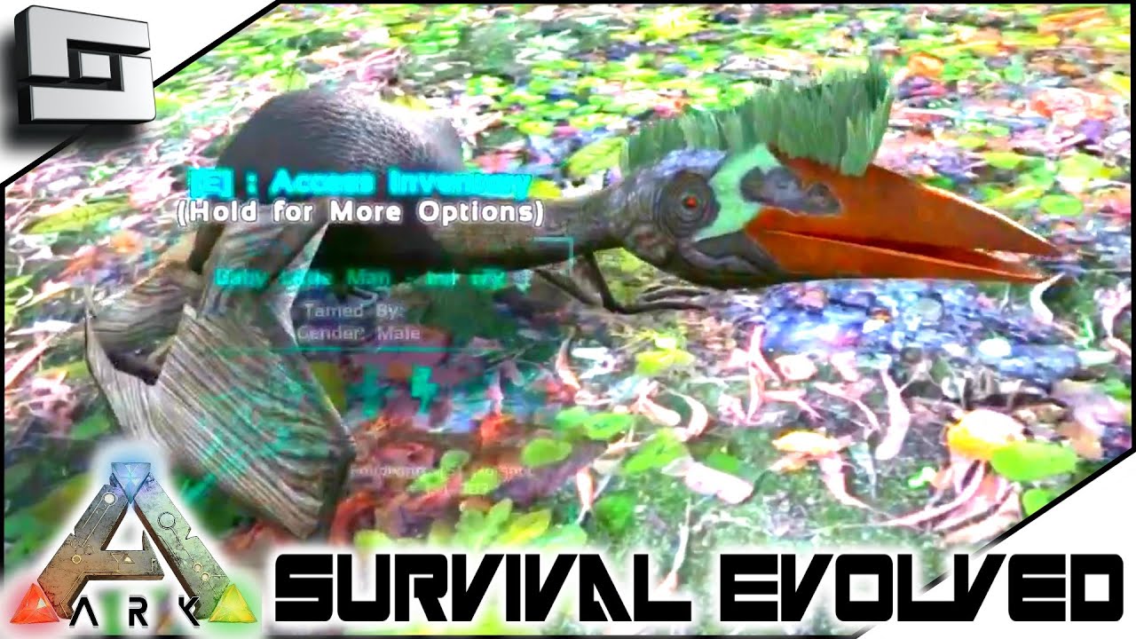 ARK: Survival Evolved — НОВЫЕ КВЕТЦ, ПУЛИ И ПОРОХ!! S2E80 (Геймплей)