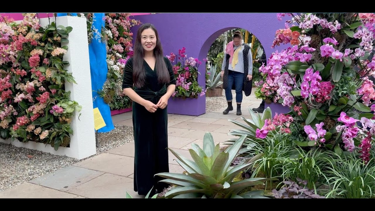 美國東部旅遊（二十八）紐約植物園蘭花展 New York Batanical Garden Orchid Show 天使在人間 | 第40期
