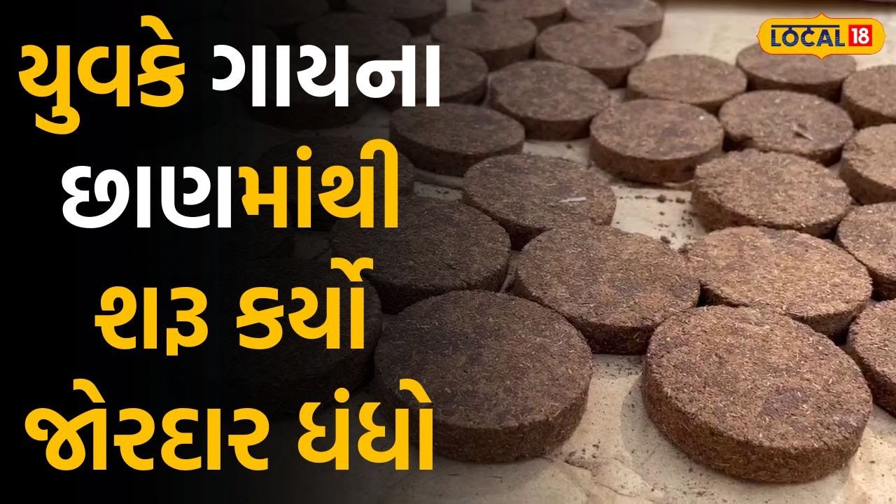 Business Tips: યુવકે ગાયના છાણમાંથી શરૂ કર્યો જોરદાર બિઝનેસ, વર્ષે થઈ રહ્યું છે 2 કરોડનું ટર્નઓવર