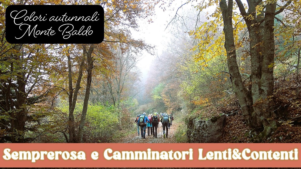 COLORI AUTUNNALI del MONTE BALDO