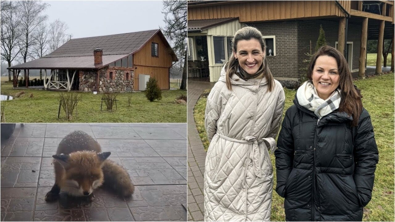 Kada įkurtuvės? Molinį tvartą pavertė išskirtiniais namais: šeima net nenumanė, kokių svečių sulauks