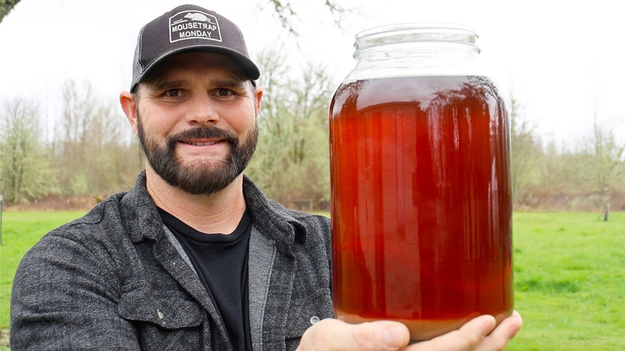 Making Maple Syrup from Pacific NW Big Leaf Maple Trees. Incredible Rare Delicious Treat.