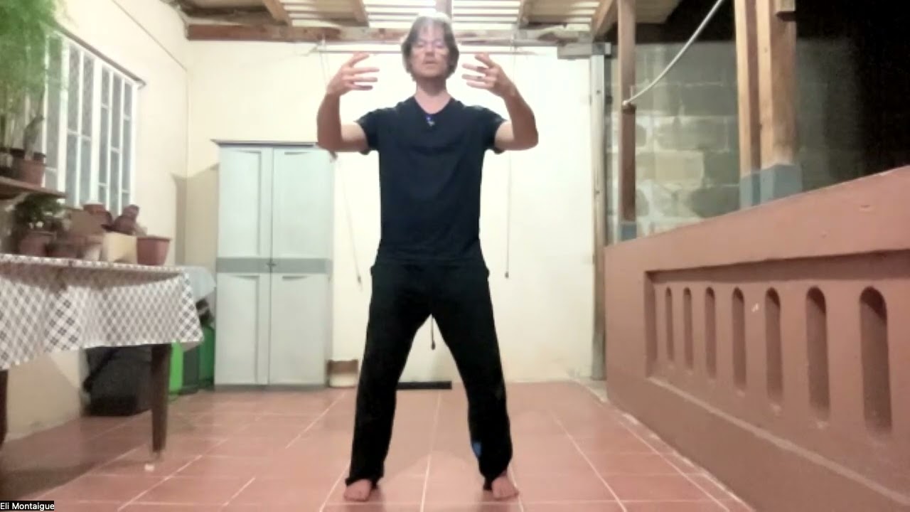 Standing Qigong Lesson 3