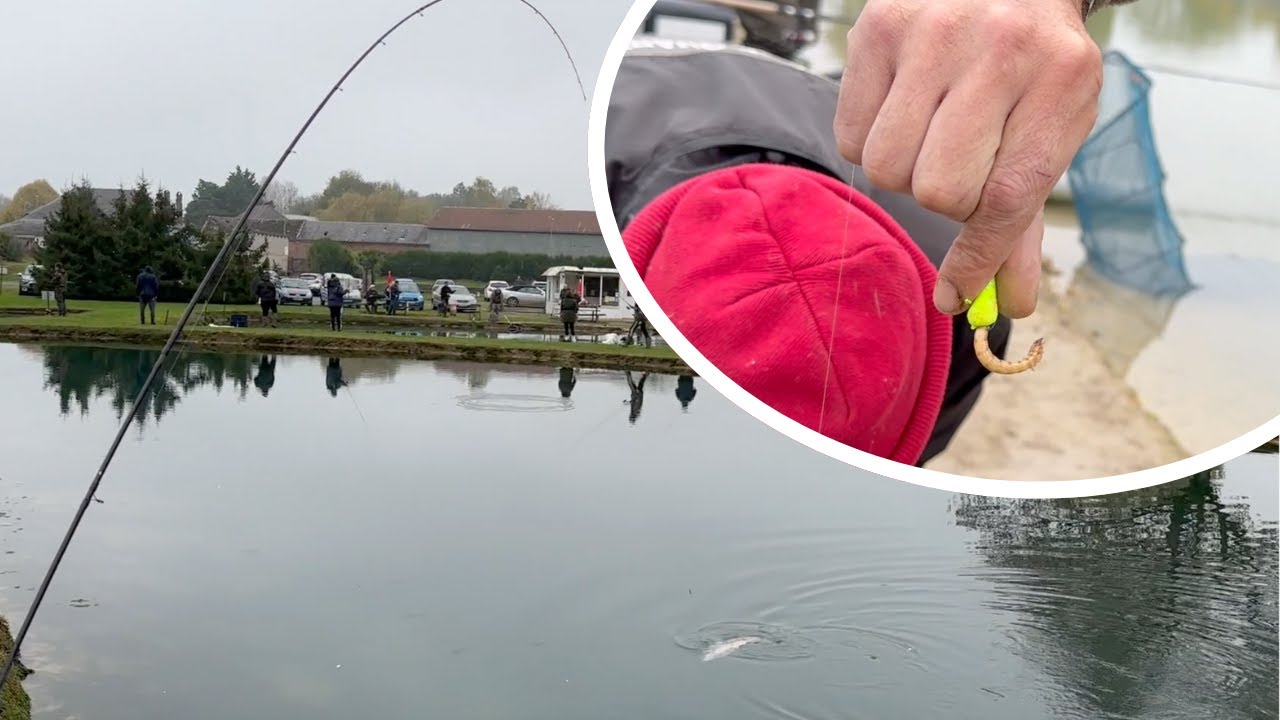 Journée de pêche à la Truite à la Fermeture des Étangs de Cilly (dernière partie)