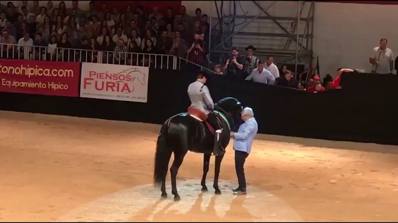 Francisco Amador con el con el caballo PRE 