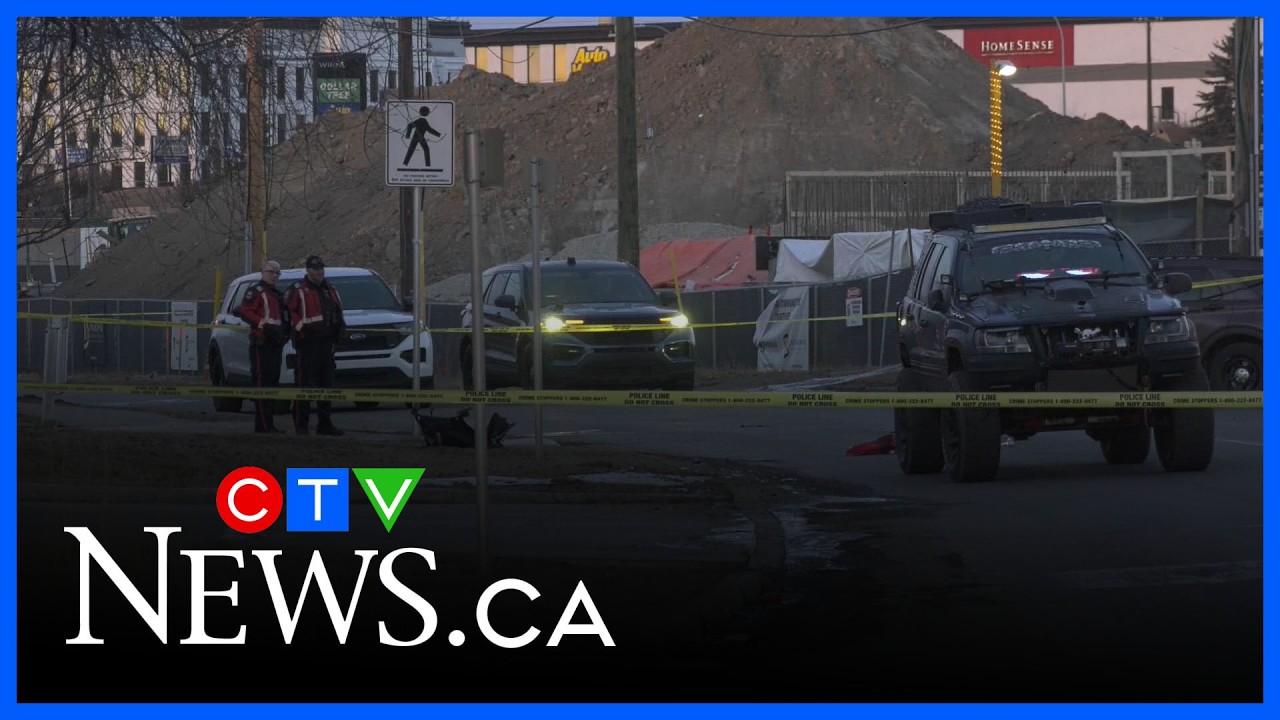 Toddler killed in crosswalk collision