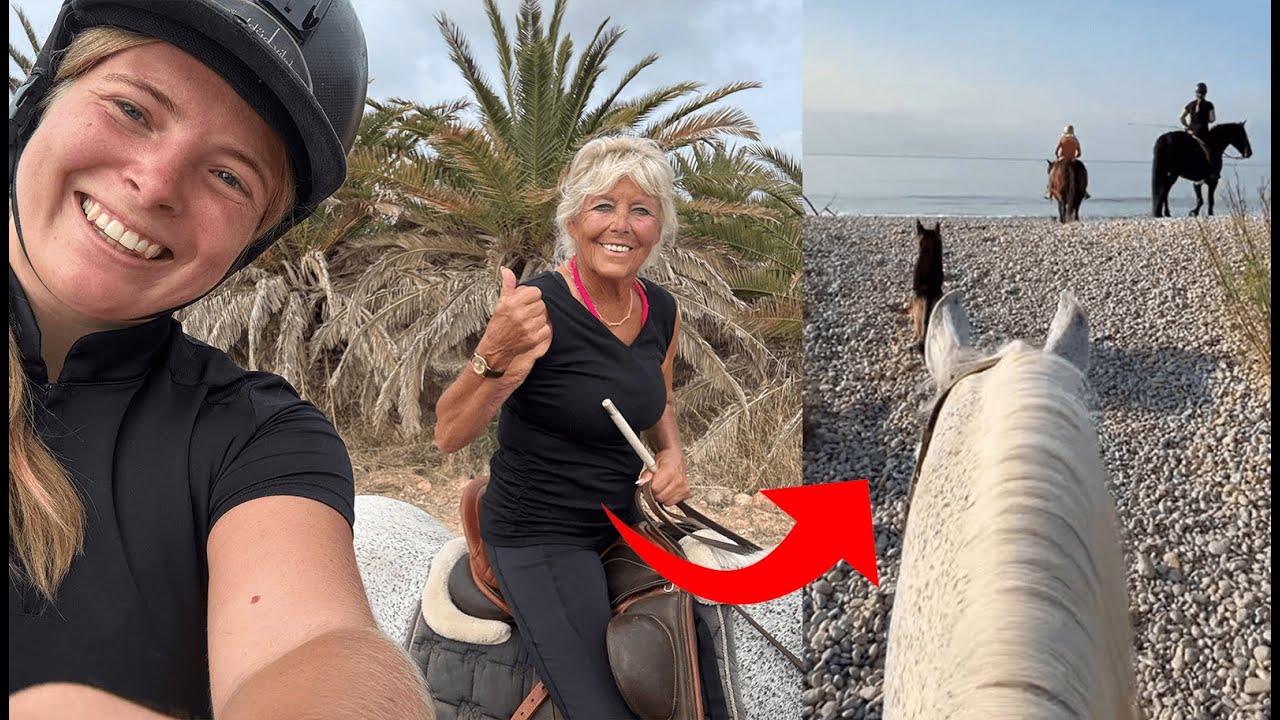 Urlaub gegen Hand 🐴🇪🇸 VLOG | Folge 4  - Ein Tag in Spanien
