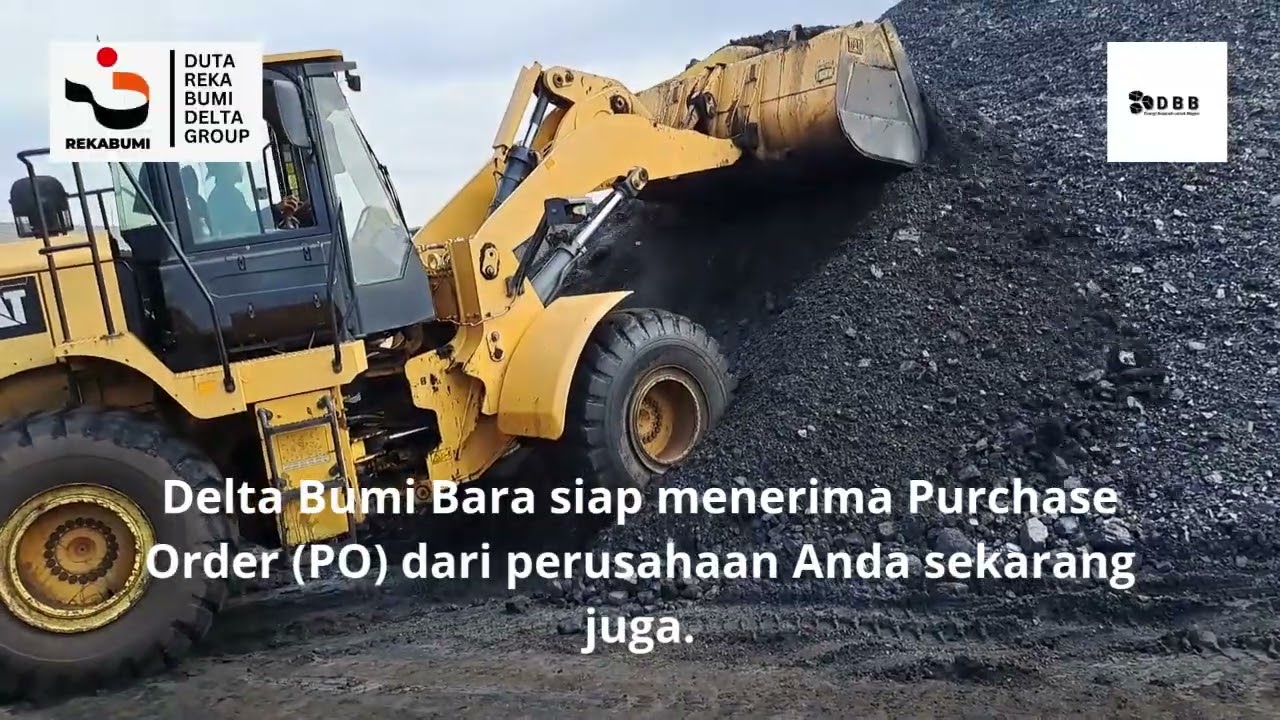 Hauling & Loading Batubara Delta Bumi Bara dan introduction