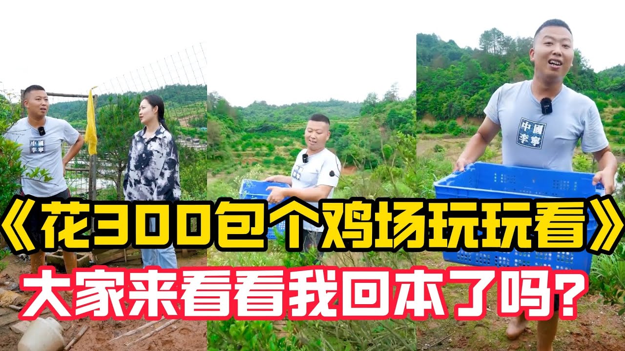 花300塊包下養雞場2天沒撿的雞蛋，沒想到竟然還有   #三农 #我要上热门 #新农人计划 #户外 #鸡场 #300