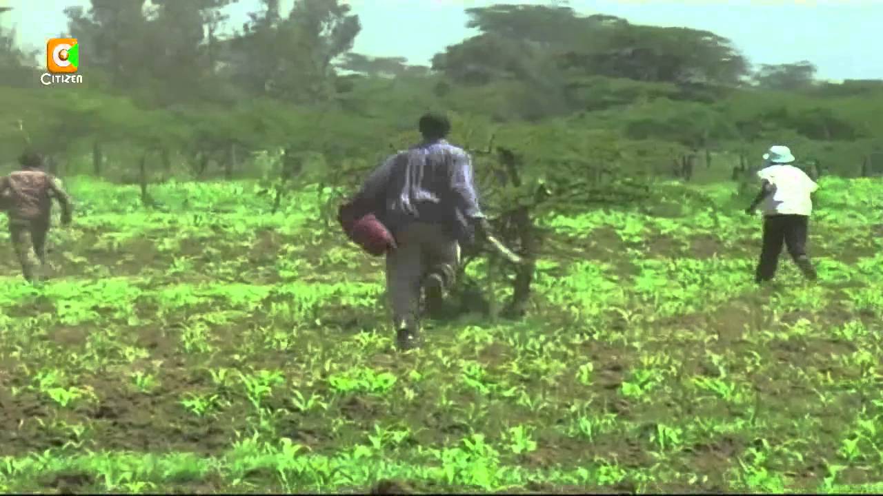Land Dispute In Nakuru Turns Chaotic