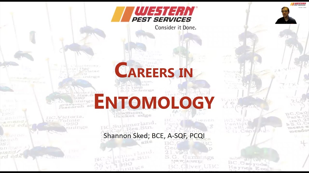 Careers In Entomology