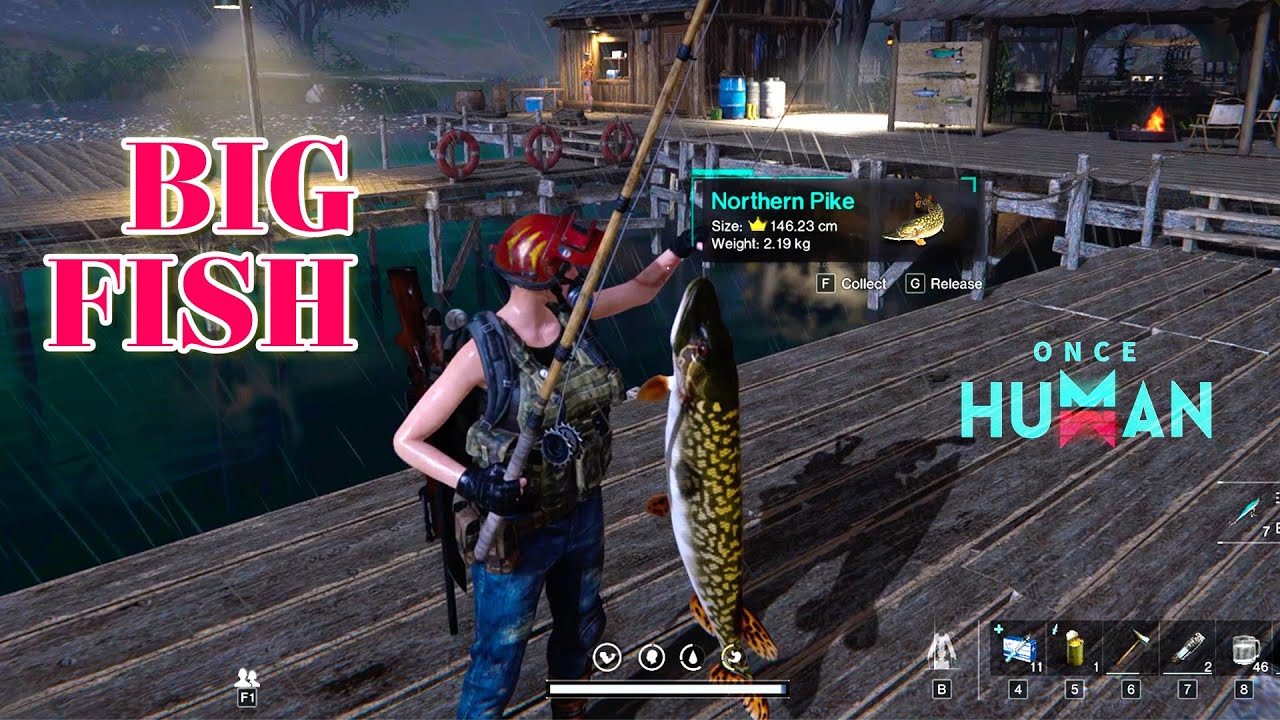 Once Human Fishing - Catch MORE Fish | Fishing Bait Once Human HINDI | Once Human Gameplay Pc