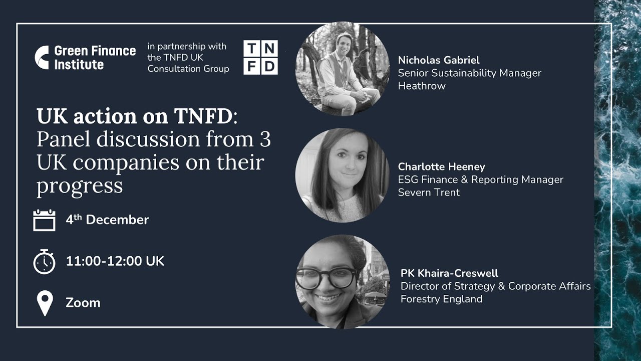 UK action on TNFD - Q4 2025