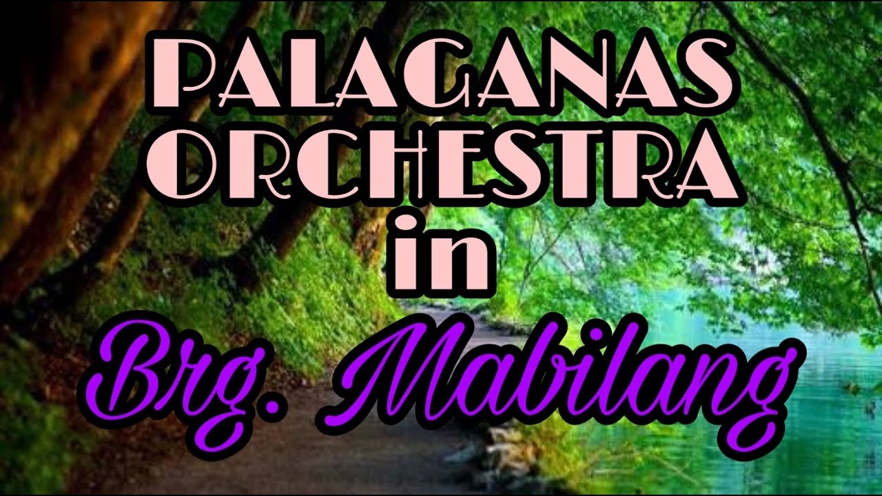 Palaganas Orchestra in Brg  Mabilang part 3