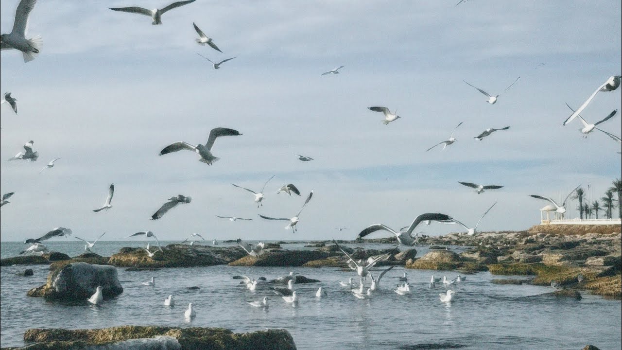 Aktau vlog | Caspean sea 🌊