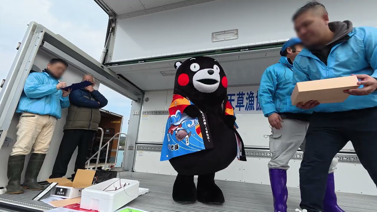 【天草おさかな祭り】くまモン！豊かな海づくり法被を纏って模擬セリに参加！！イセエビ🦐持ったりマダコやクルマエビを体現ｗｗ
