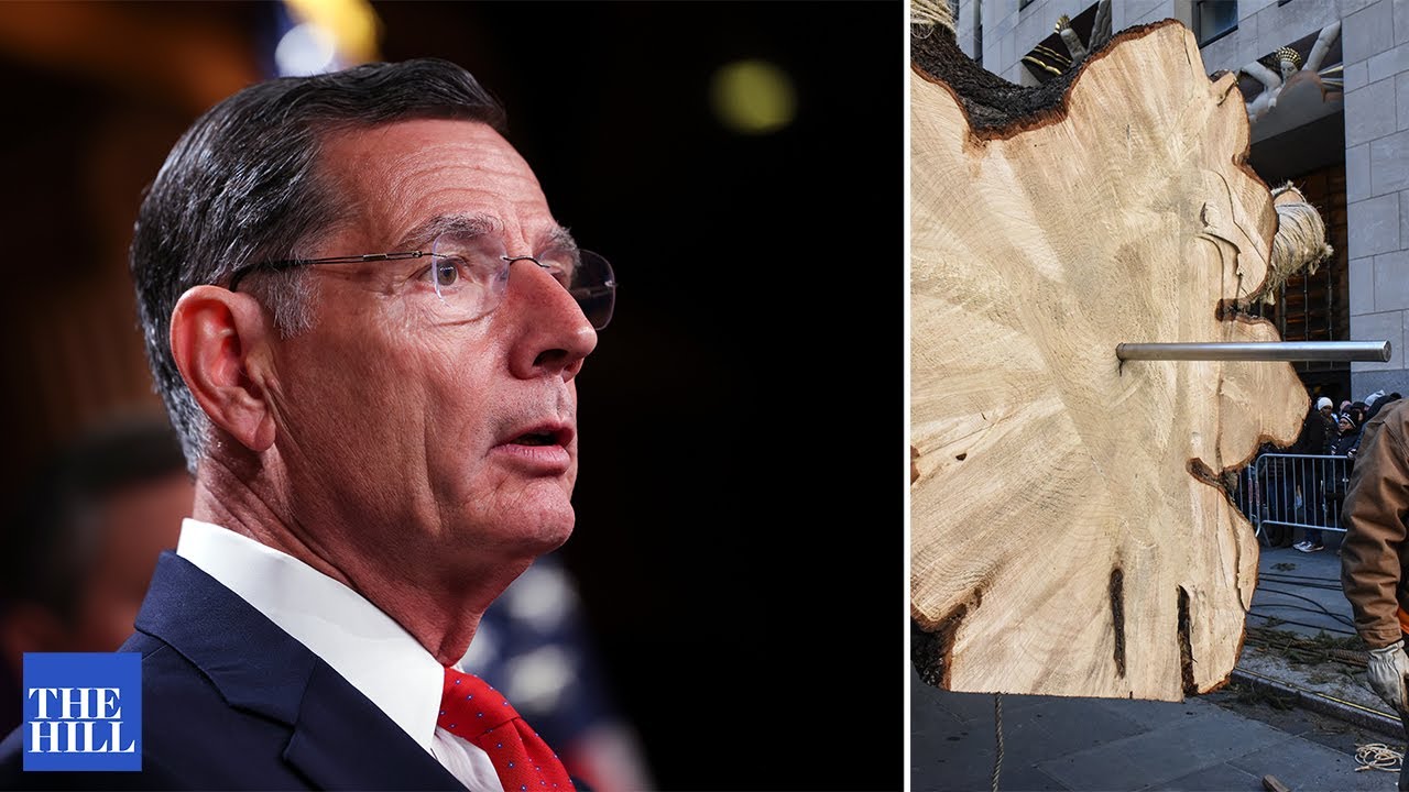 Barrasso WARNS of Biden's BLM nominee: 'tree spiking is a vicious form of eco-terrorism'
