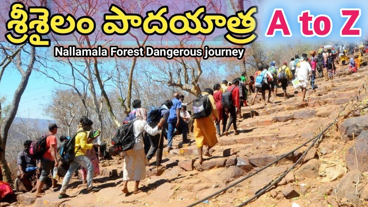 Srisailam padayatra 2026 | venkatapuram to Srisailam full Details explain Telugu