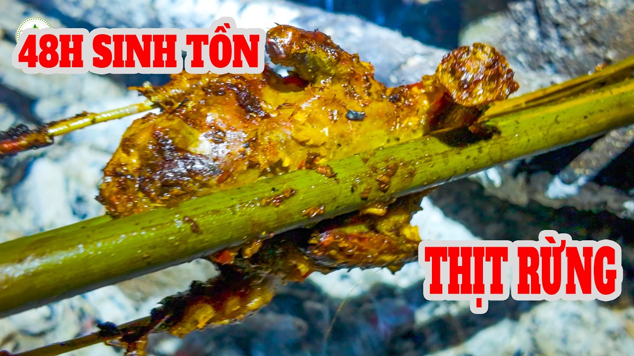 Sinh Tồn 48h Trong Rừng - Rất Nhiều Thịt Rừng Cách Để Thu Hoạch Nhiều Thức Ăn Hơn ✧ Suối Bản Tv