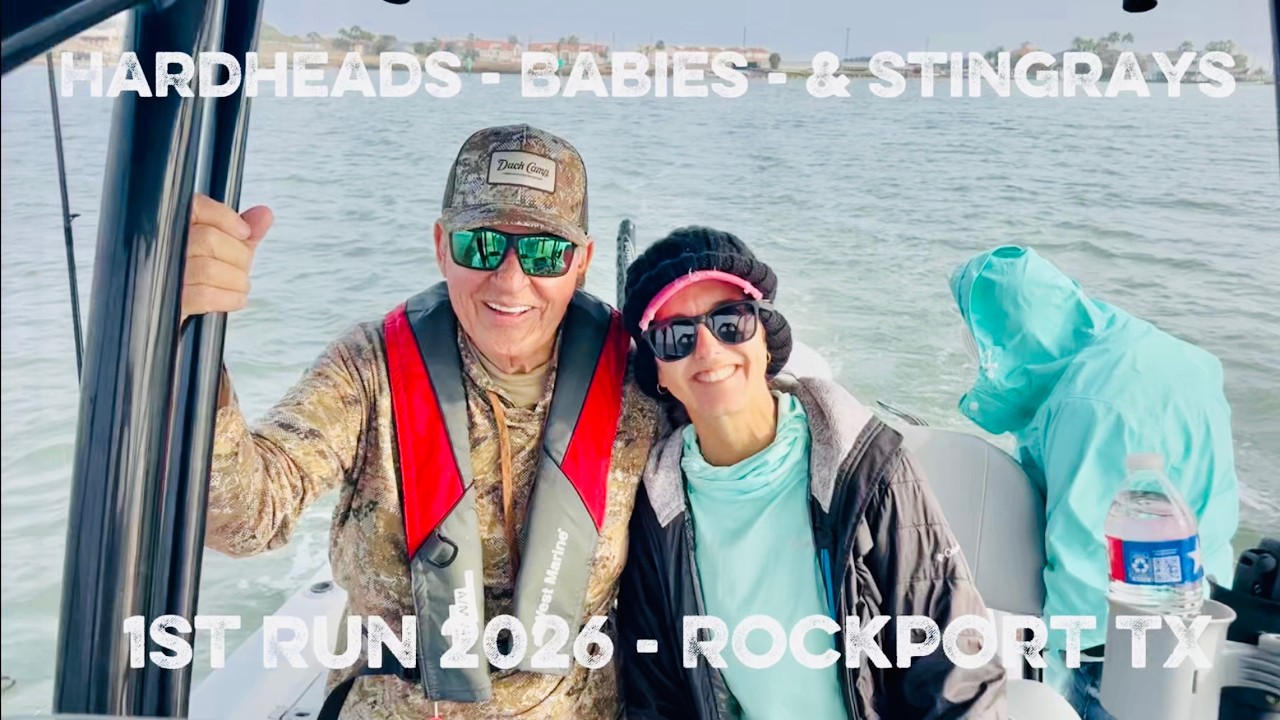 Hardheads Babies & Stingrays 