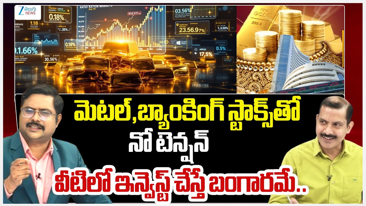Amperayani Seshu About Best Stock To Buy | Metals | Banking | #dnawithbharath | ZEE Telugu News