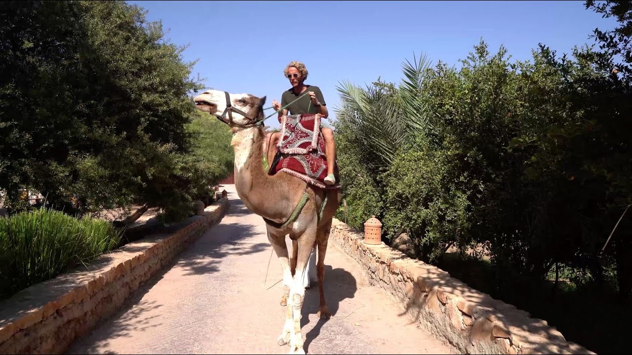 Décalage horaire #6 - De Tulle à Agadir : la kasbah d’Hélène dans l’Atlas marocain