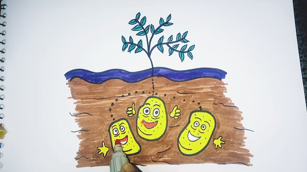 Draw a cute patatos...for children's,marker colors,