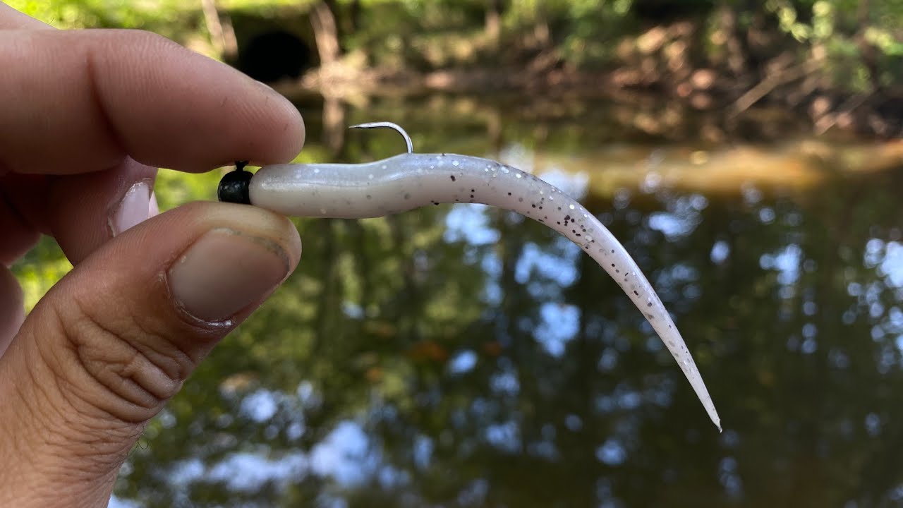 Indiana Creek Fishing with Torpedo Tail Stogies 