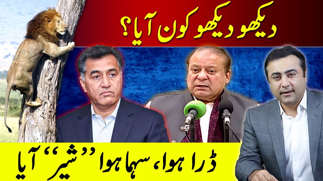 The LION is scared? | Nawaz Sharif’s FAKE press conference | Mansoor Ali Khan