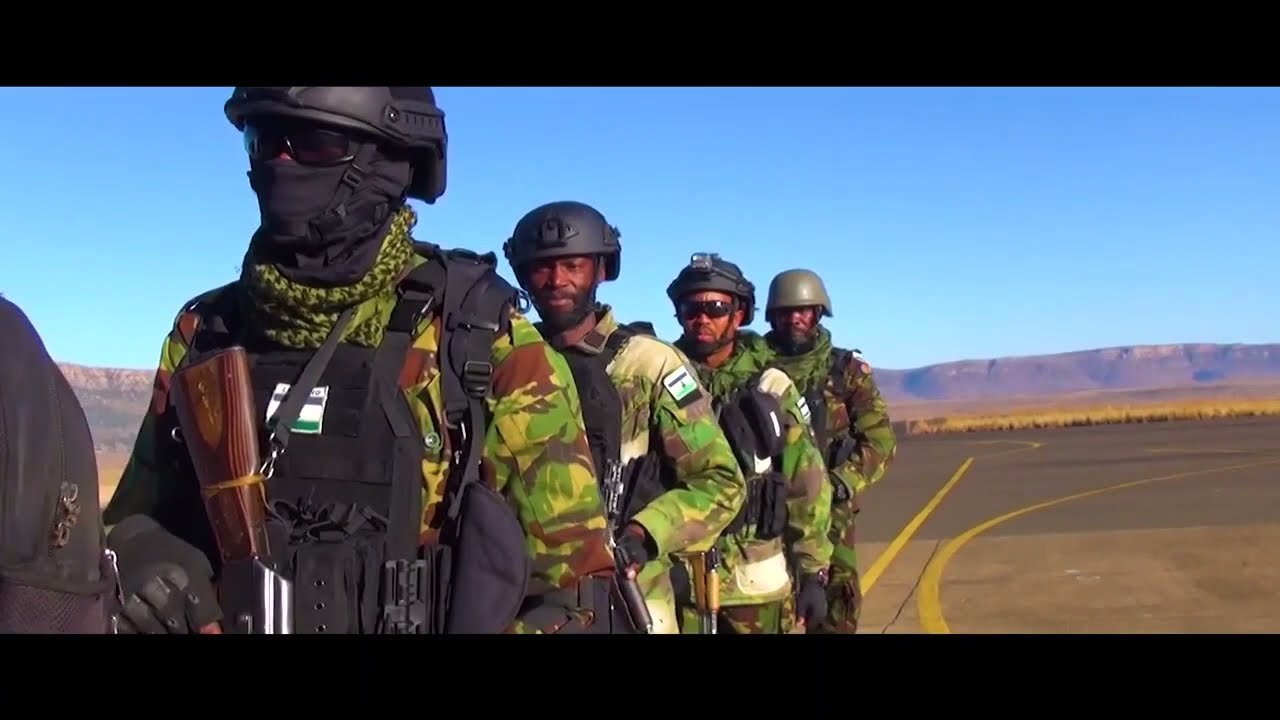 LDF reinforcement to Mozambique