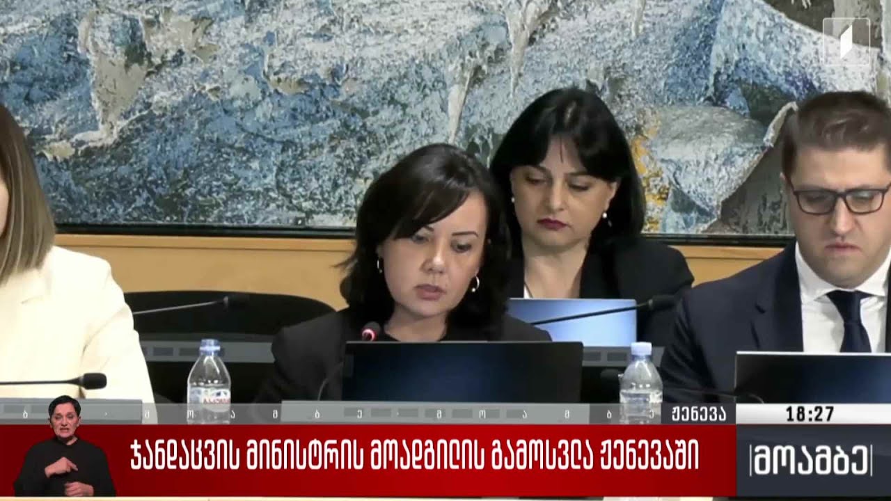 ჯანდაცვის მინისტრის მოადგილის გამოსვლა ჟენევაში