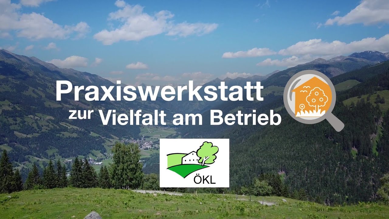 Praxiswerkstätten: Vielfalt bauen, graben, pflanzen!
