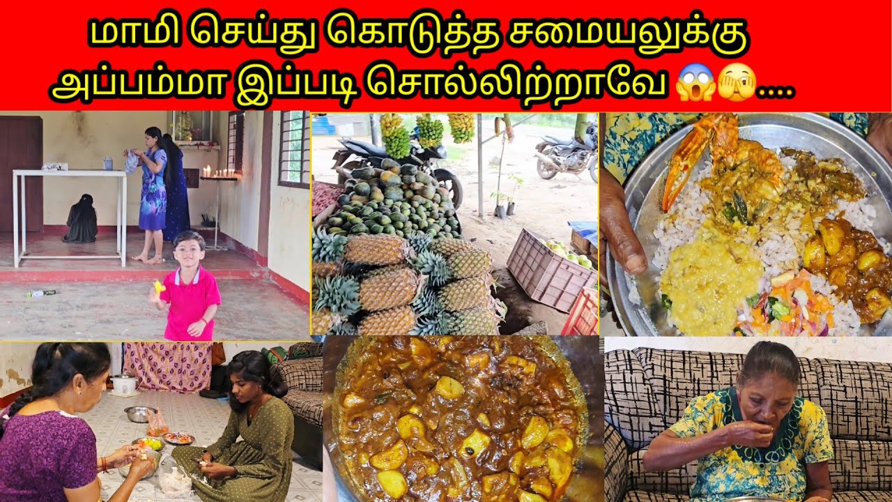 மாமி செய்து கொடுத்த சமையலுக்கு அப்பம்மா இப்படி சொல்லிற்றாவே 😱🫣../PKR family/tamil vlogs 