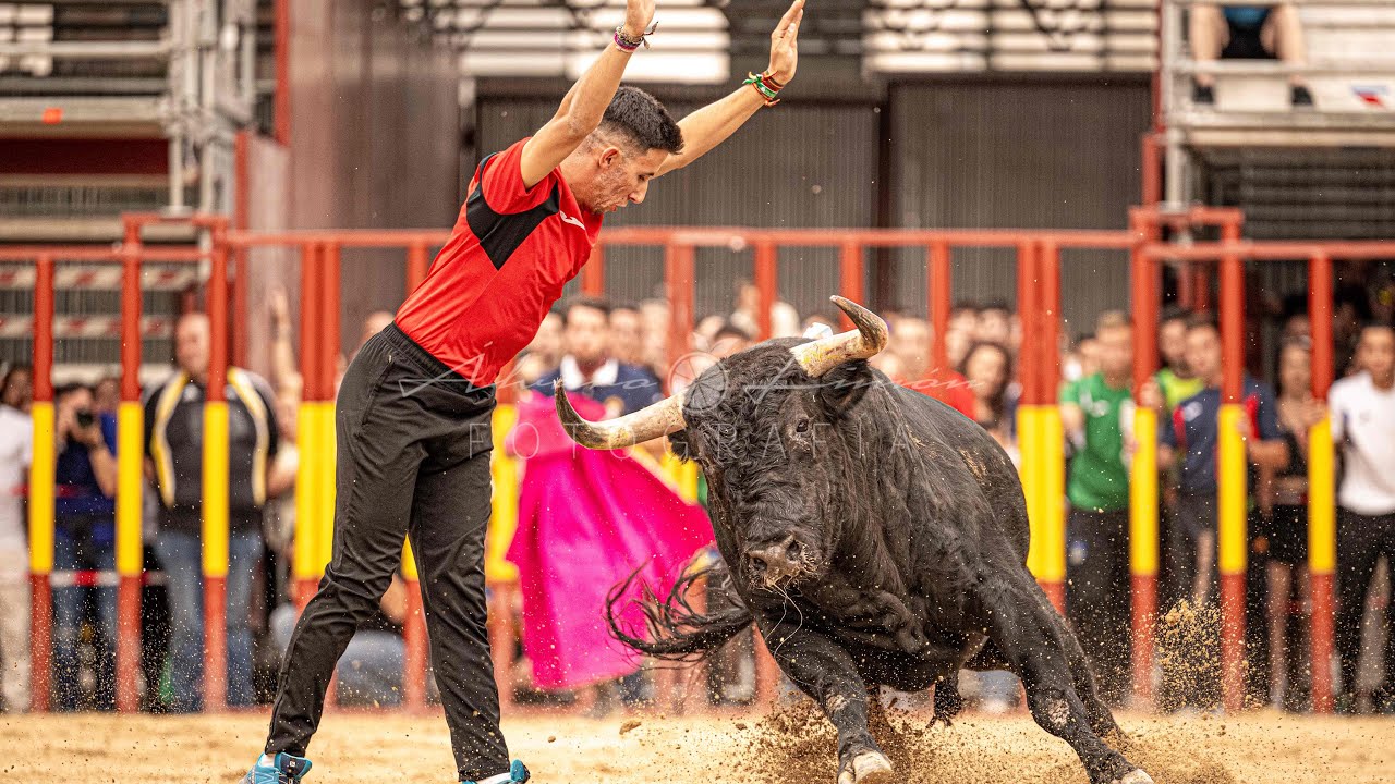 XXIX COCURSO DE RECORTES ARGANDA DEL REY (MADRID) 2024