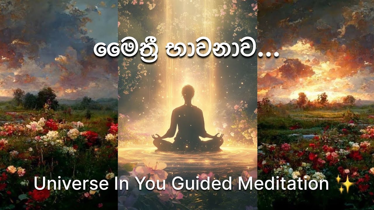 මෛත්&zwj;රී භාවනාව තුලින් ලෝකයම ආලෝකමත් කරන්න guided meditation 🌸✨&hearts;️🌍🙏🏻 #meditation #kindness #love