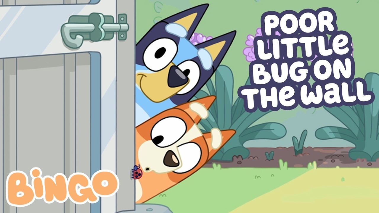 Time For Discovery & Adventure With Bingo 🧡 | Bingo - Official Channel