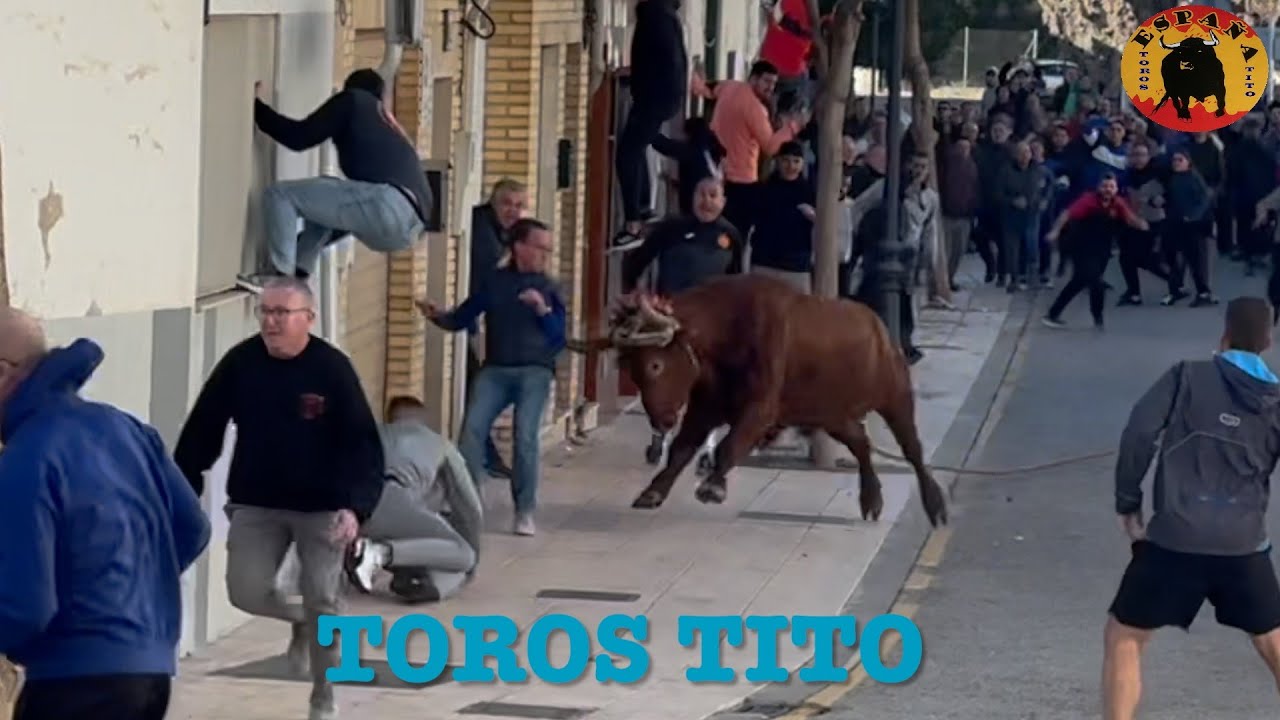 Emocion Macastre toros en cuerda Hnos Cali HD 1080p