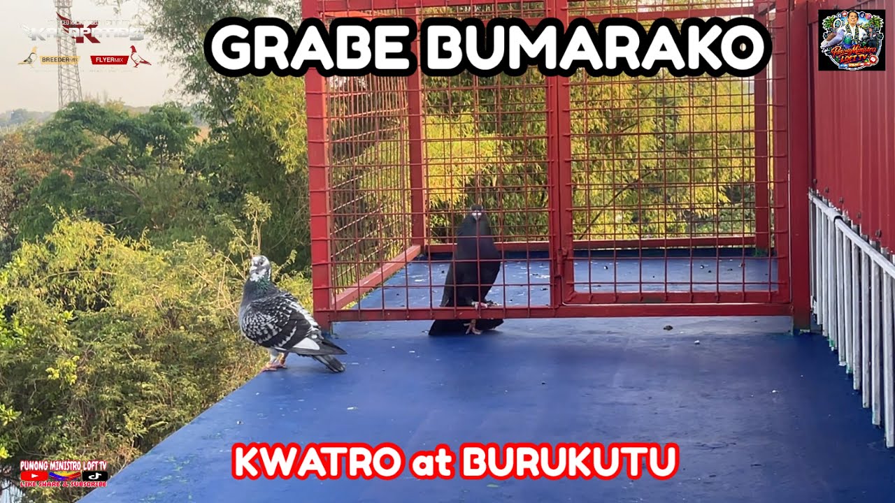 EP1280 TINDE BUMARAKO NI KWATRO KAY BURUKUTU BASTED KAYA O HINDE?