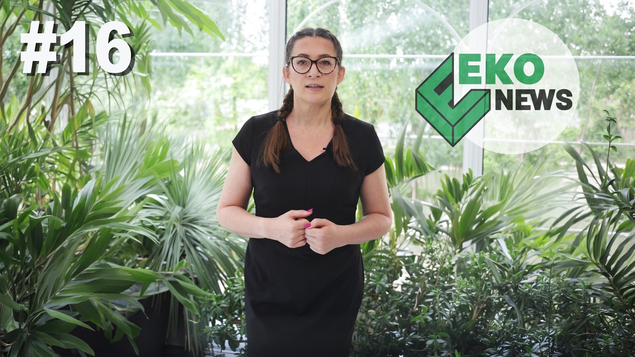 #16 EKONEWS &ndash; BDO, PPWR, ROP, DIWASS &ndash; jak radzić sobie z wyzwaniami dla firm