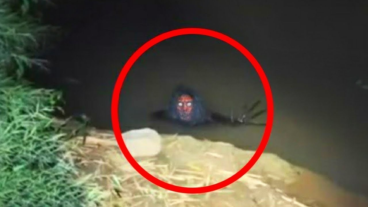 REAL Encounters With Creatures That Still Can&rsquo;t Be Identified